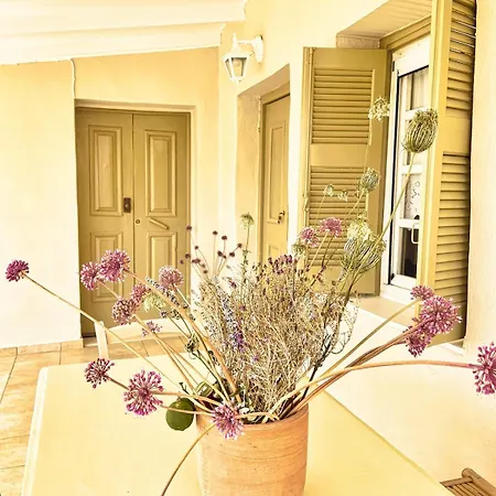 Gaea Family House Near Beaches & Historic Sites